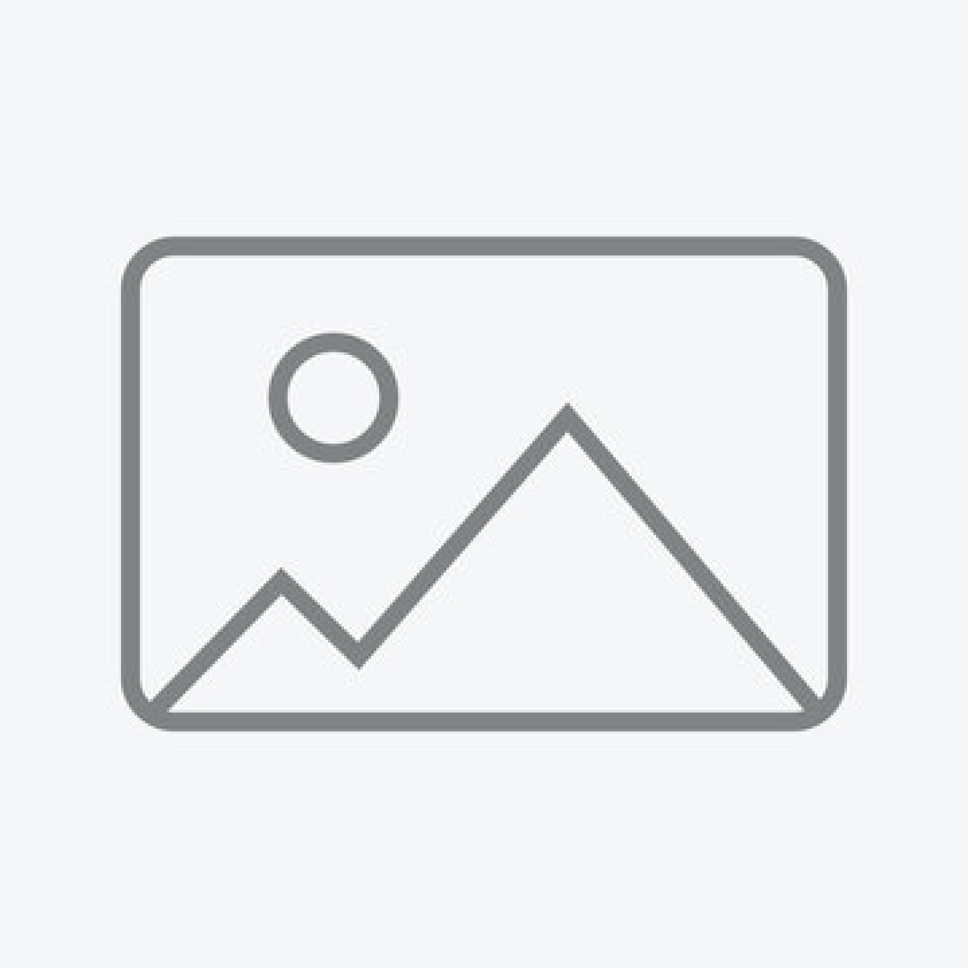 slideshow
